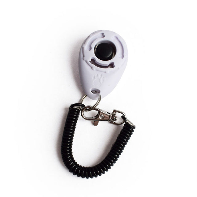 Hundetrainer Clicker Pfoten Plaza