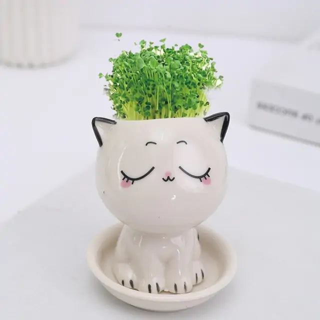 Mini Cat Shaped Cartoon Ceramic Flowerpot Pfoten Plaza