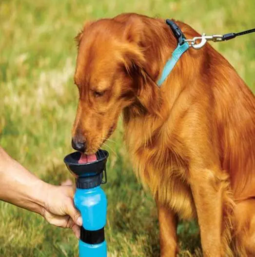 Portable Water Bottle Drinker For Pet Dogs Pfoten Plaza