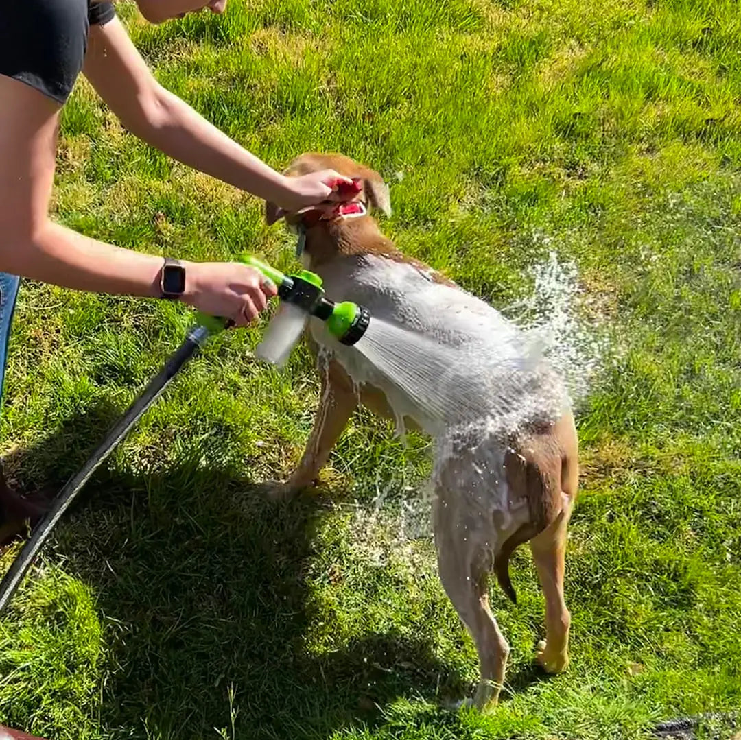 Dog Shower Jet Attachment Pfoten Plaza