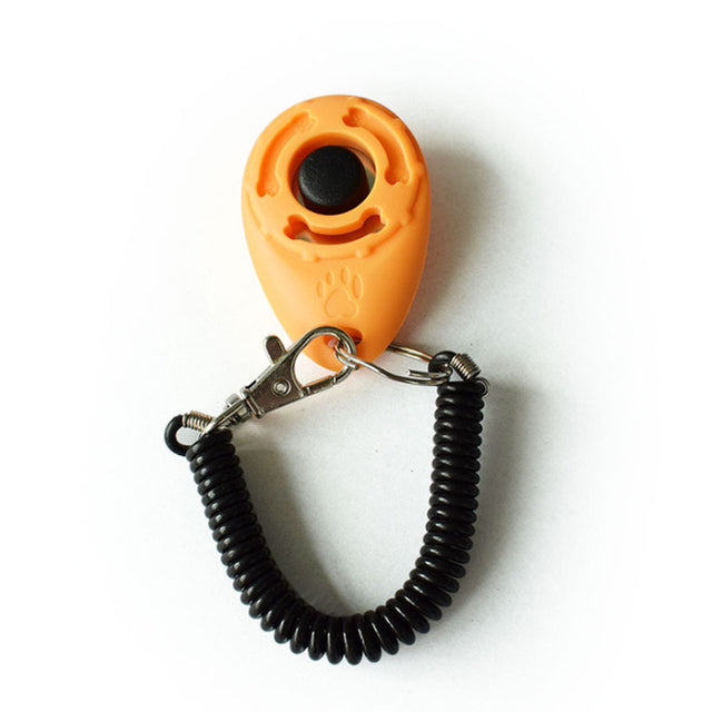 Hundetrainer Clicker Pfoten Plaza