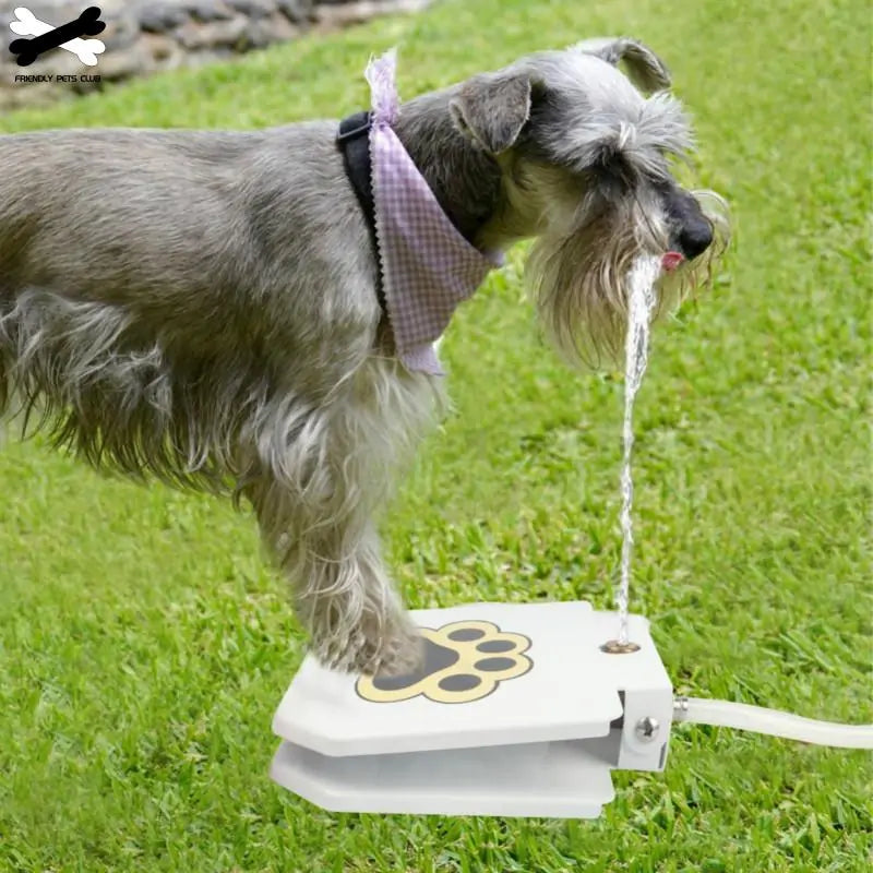 Automatic Dog Drinking Fountain Pfoten Plaza