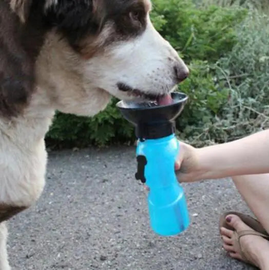 Portable Water Bottle Drinker For Pet Dogs Pfoten Plaza