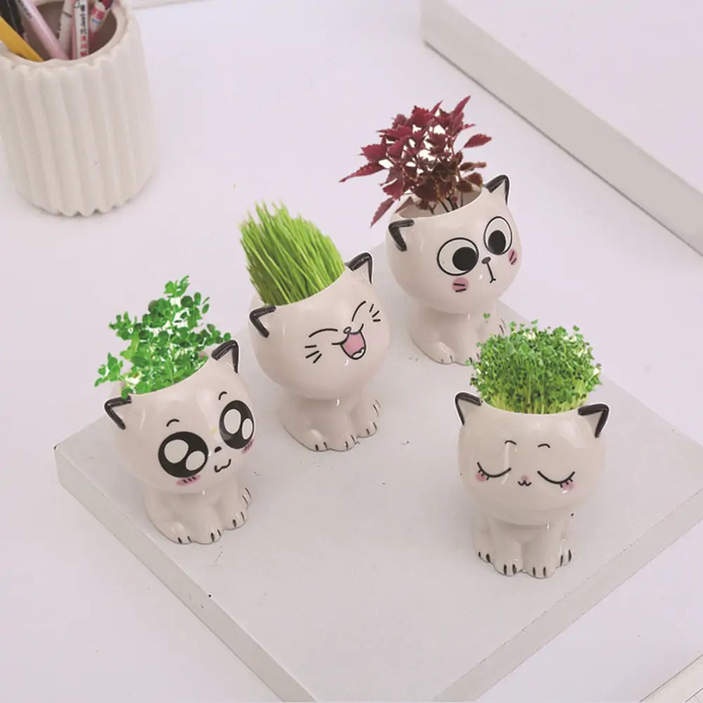 Mini Cat Shaped Cartoon Ceramic Flowerpot Pfoten Plaza