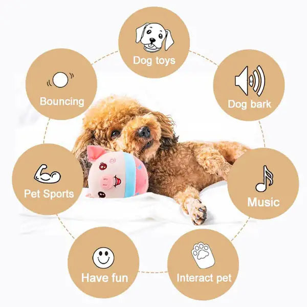 Active Moving Plush Toy for Your Pets Pfoten Plaza