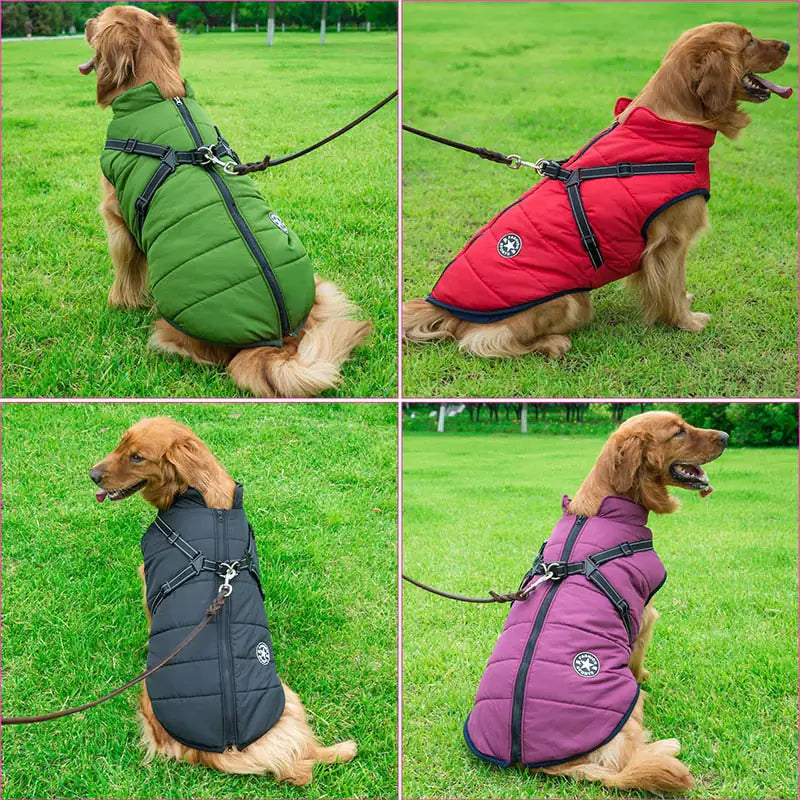 Winter Dog Jacket Pfoten Plaza