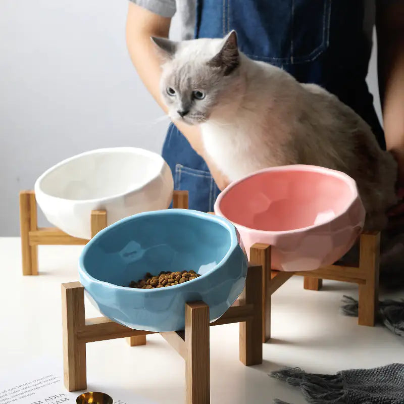 Purr-fect cat bowl Pfoten Plaza