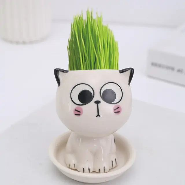 Mini Cat Shaped Cartoon Ceramic Flowerpot Pfoten Plaza