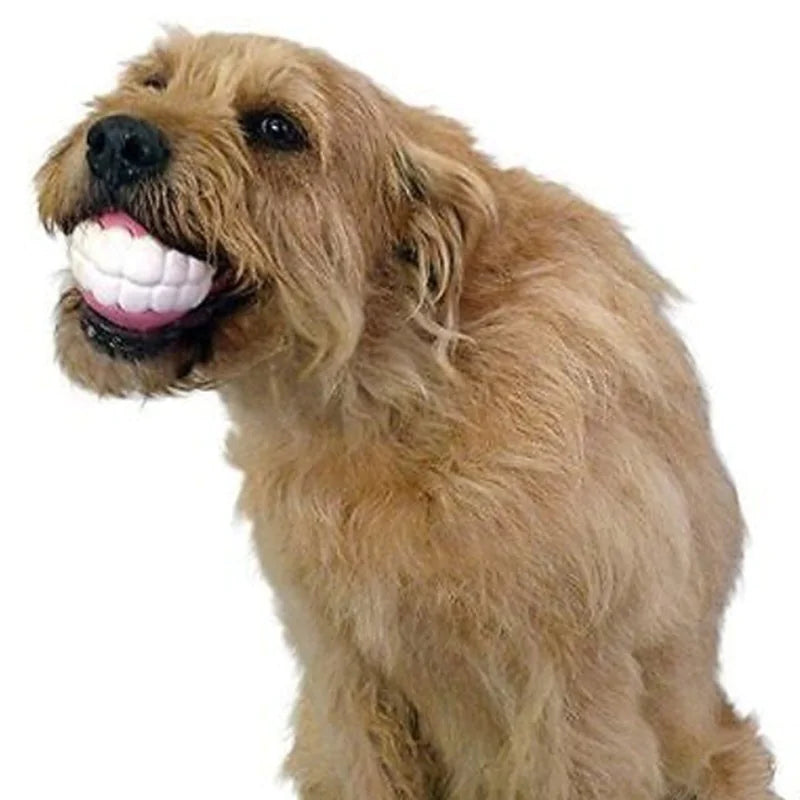 Pet Ball Teeth Silicon Chew Toys for Large Breeds Pfoten Plaza