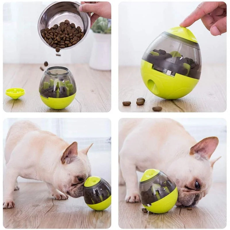 Interactive Cat Toy IQ Treat Ball Smarter Pfoten Plaza