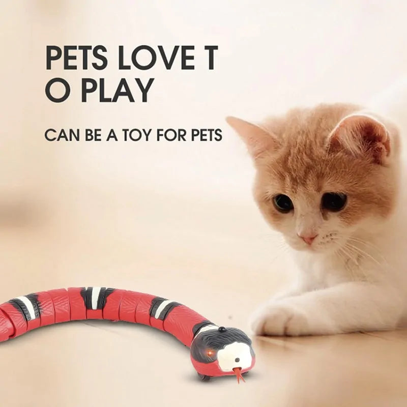 Automatic Electronic Snake Cat Toys Pfoten Plaza