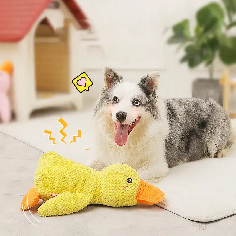 Durable Plush Chew Toy with Sounds for dogs Quack-Quack Duck Dog Toy Pfoten Plaza