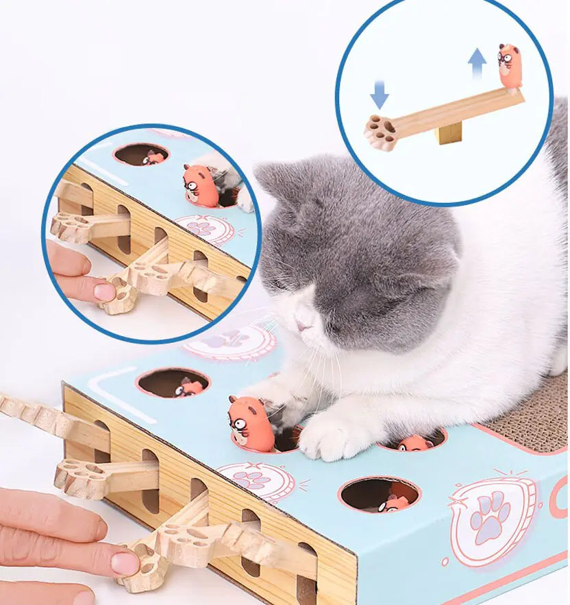 Interactive Cat Teaser Toy Pfoten Plaza