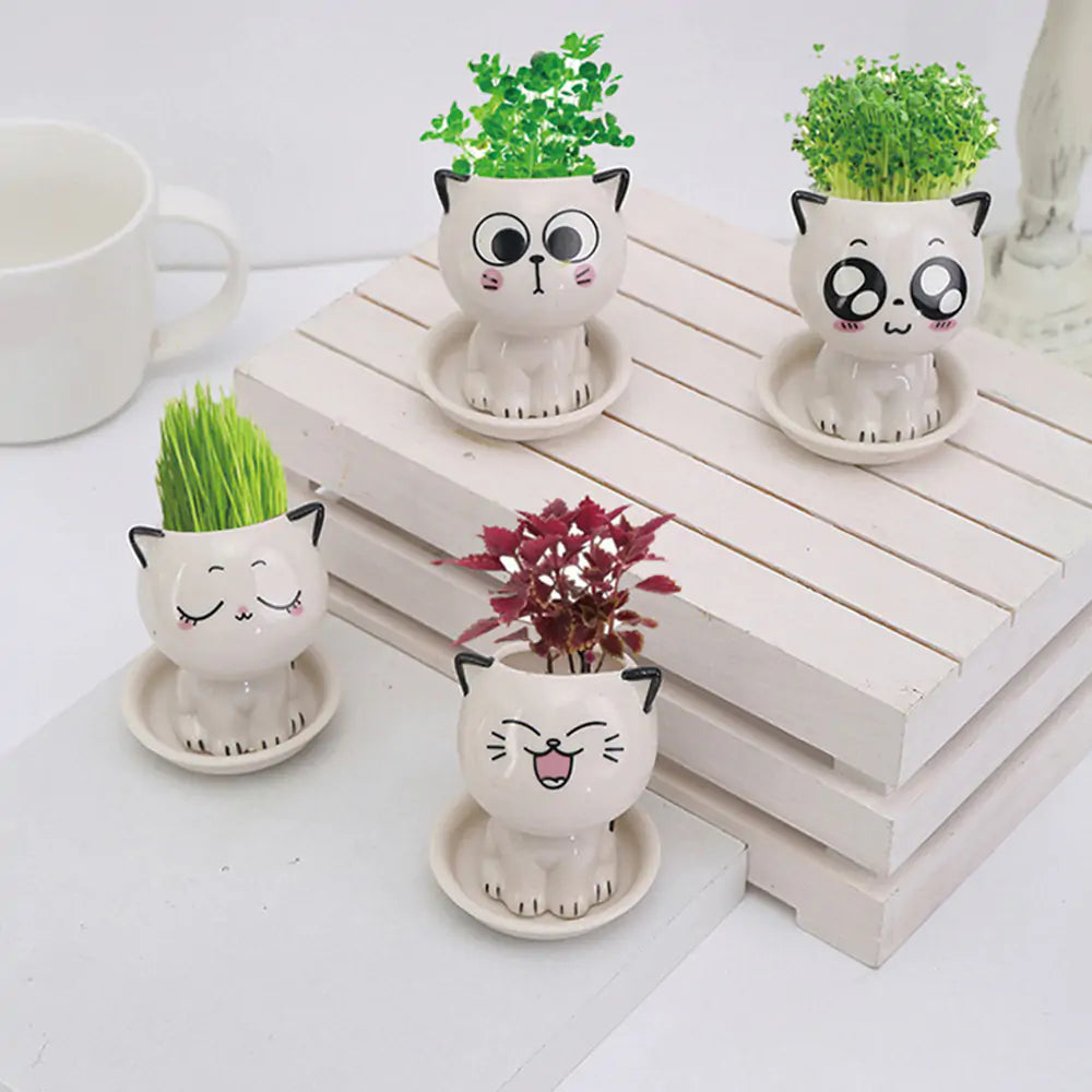 Mini Cat Shaped Cartoon Ceramic Flowerpot Pfoten Plaza