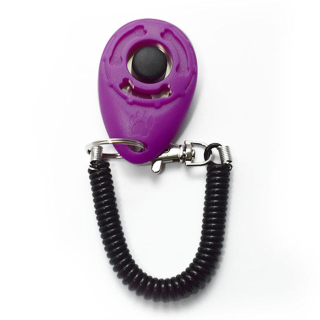 Hundetrainer Clicker Pfoten Plaza