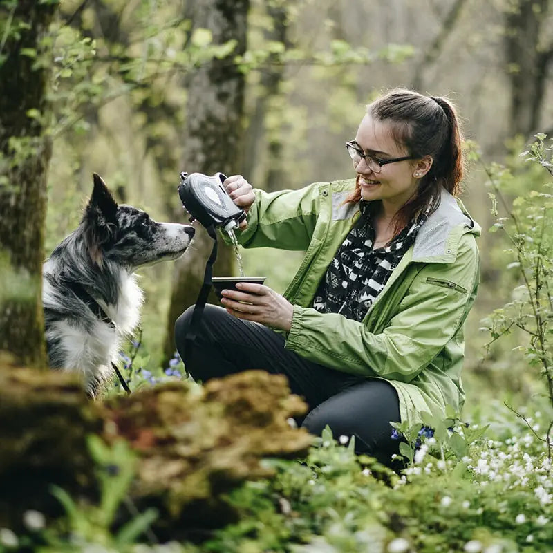 Versatile Pet Leash with Accessories Pfoten Plaza