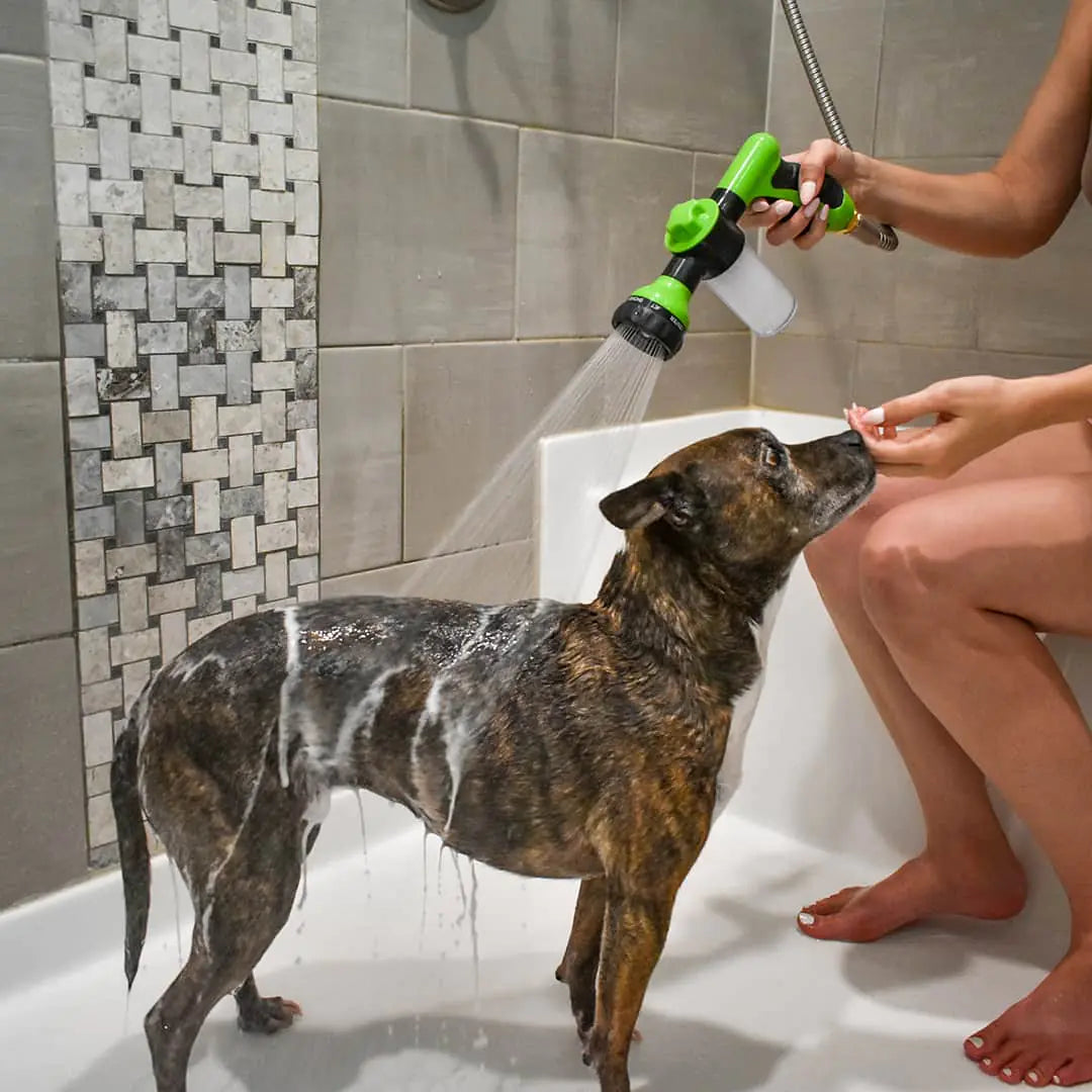 Dog Shower Jet Attachment Pfoten Plaza