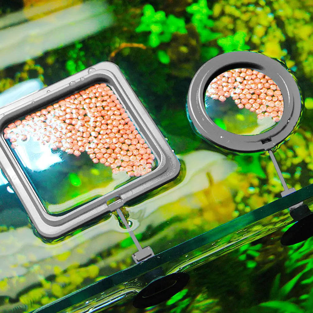 Aquarium Floating Food Feeder Pfoten Plaza