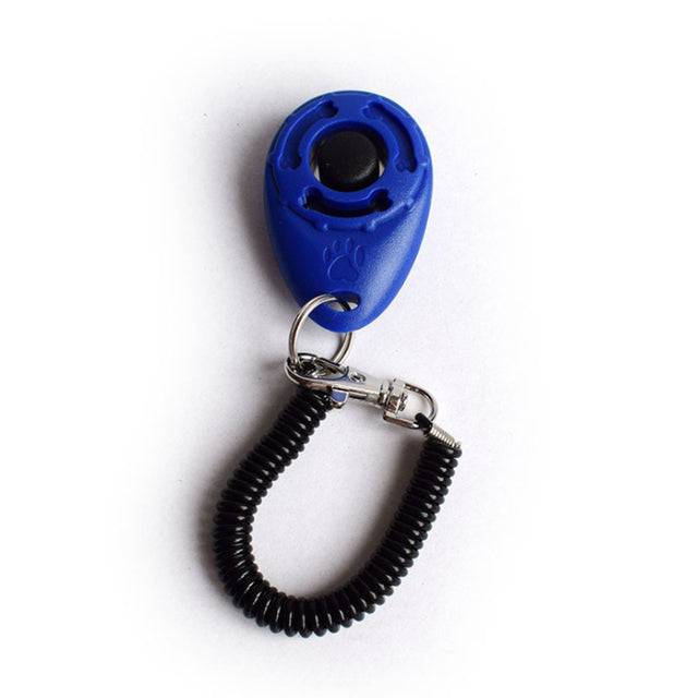 Hundetrainer Clicker Pfoten Plaza