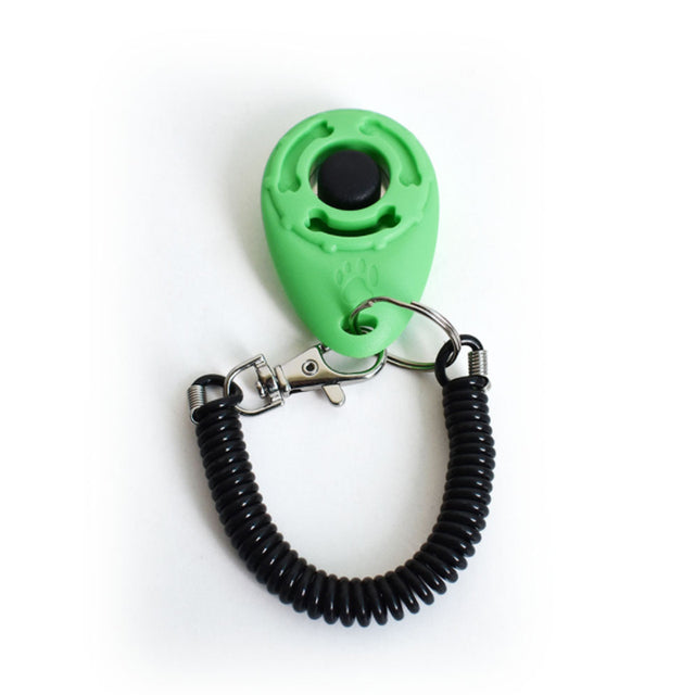 Hundetrainer Clicker Pfoten Plaza