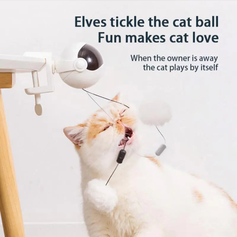 Electric Cat Toy Lifting Ball Pfoten Plaza