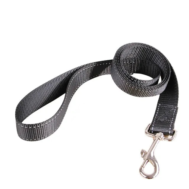 Dog Rectractable Leash Pfoten Plaza