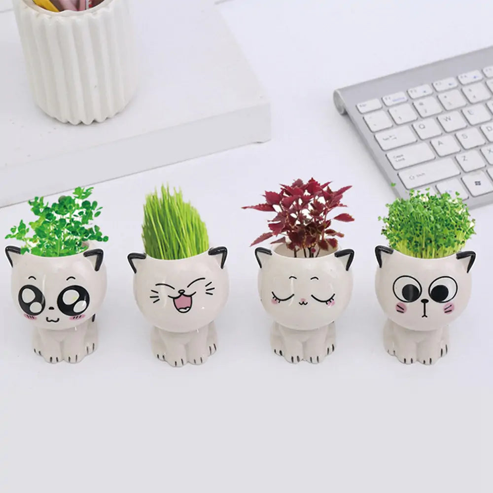 Mini Cat Shaped Cartoon Ceramic Flowerpot Pfoten Plaza