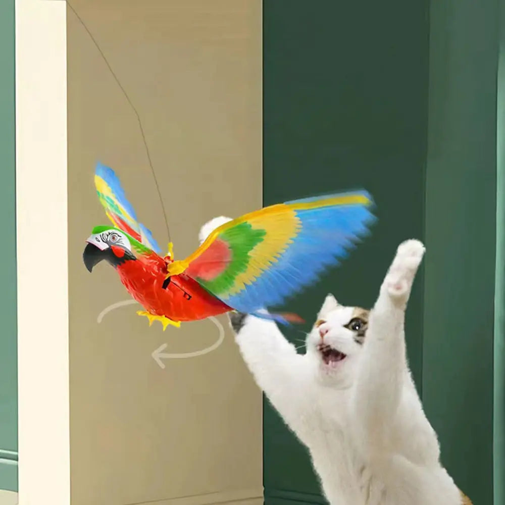 Interactive Electric Bird Cat Toy Pfoten Plaza