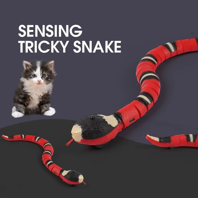 Automatic Electronic Snake Cat Toys Pfoten Plaza