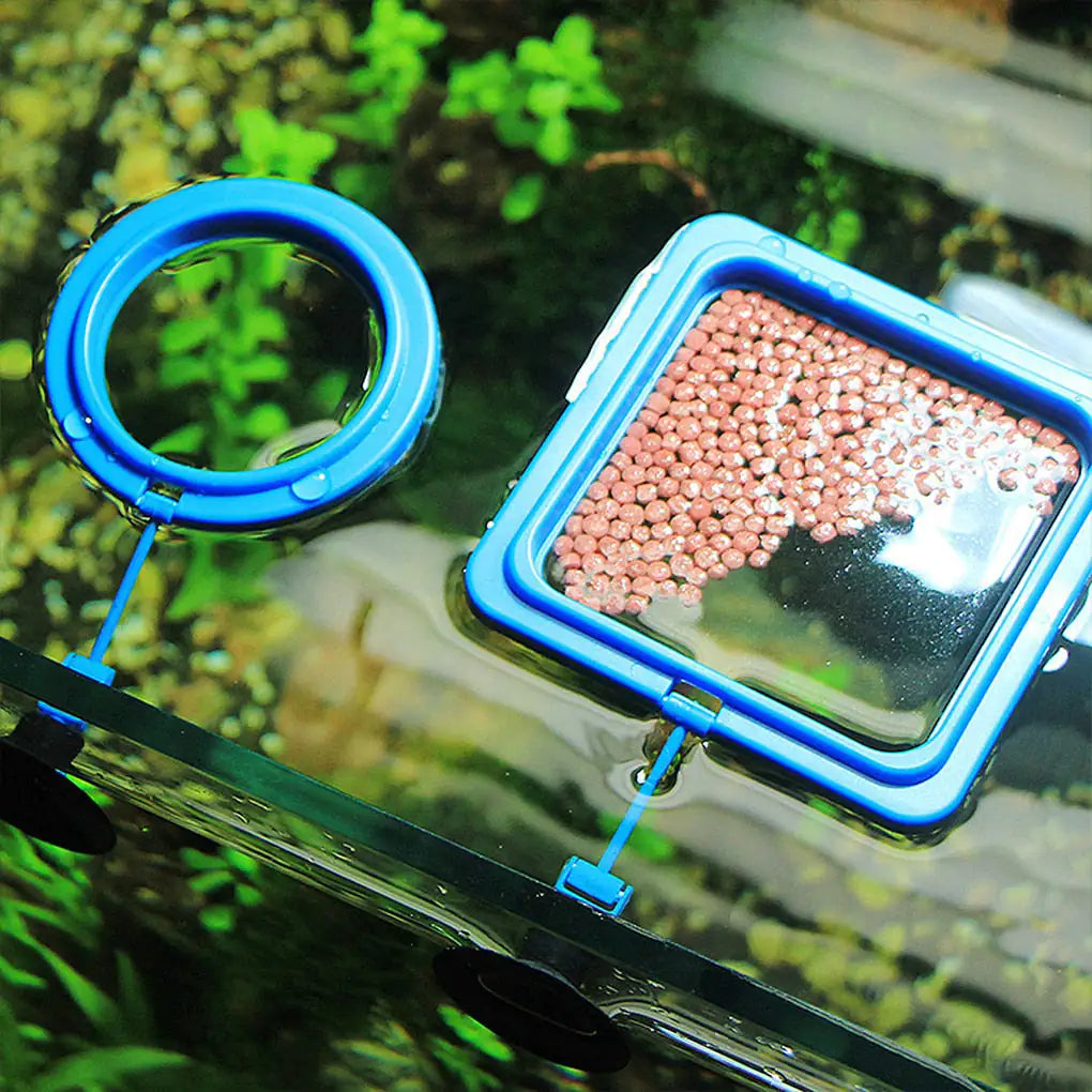 Aquarium Floating Food Feeder Pfoten Plaza