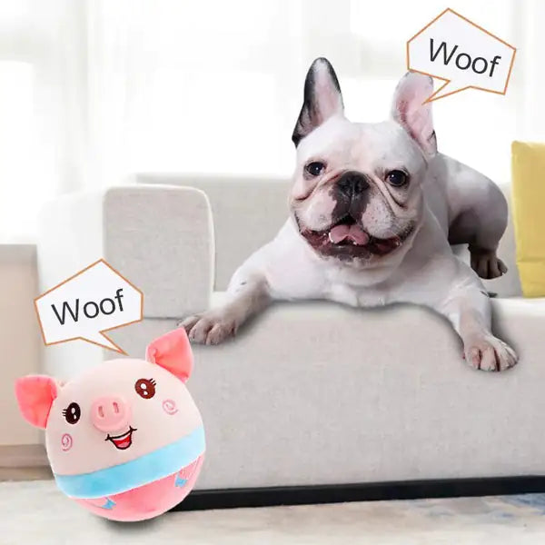 Active Moving Plush Toy for Your Pets Pfoten Plaza