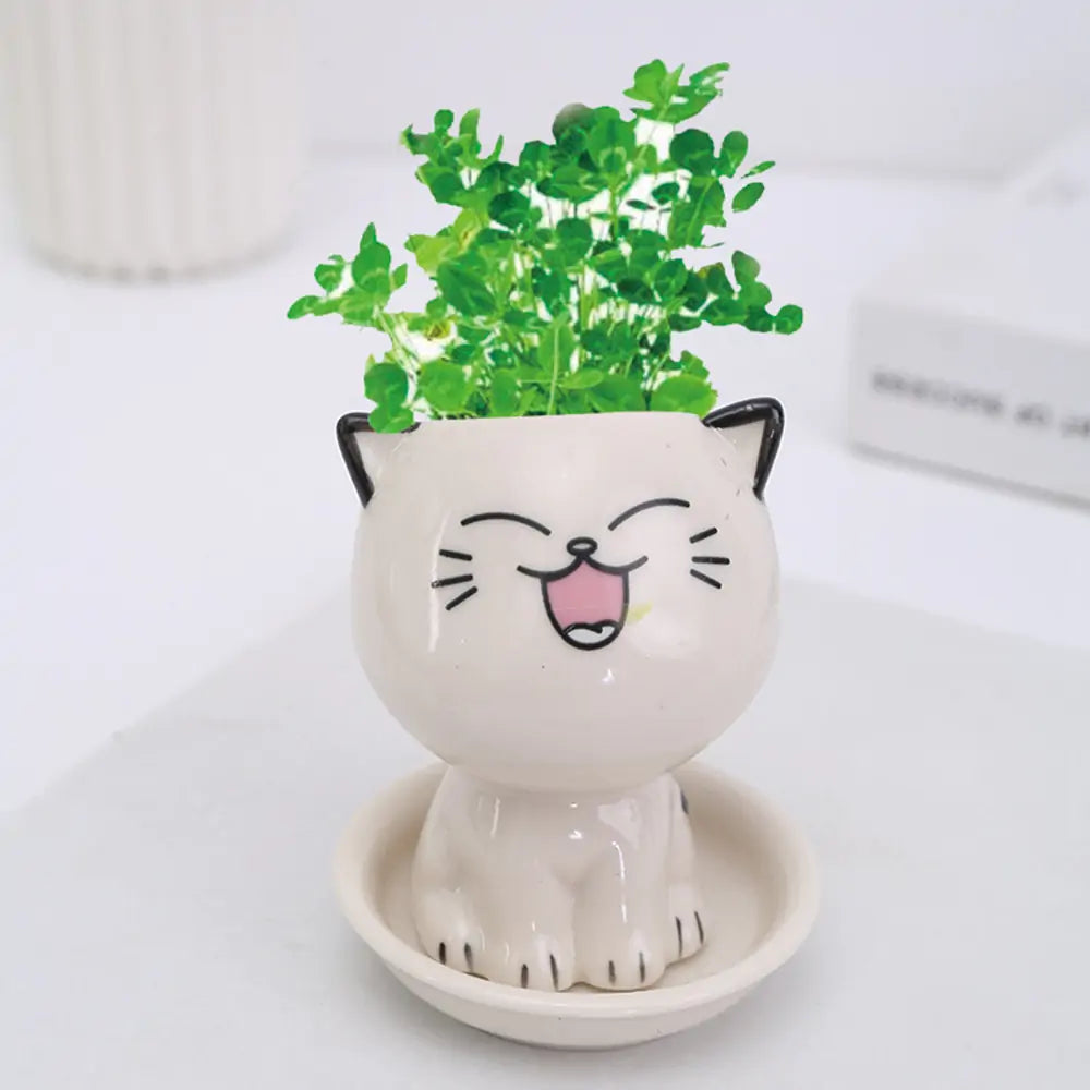 Mini Cat Shaped Cartoon Ceramic Flowerpot Pfoten Plaza