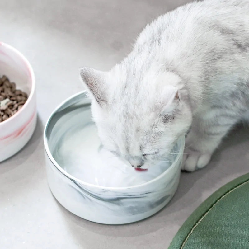 Marbling Ceramic Double Bowl For Pet Pfoten Plaza