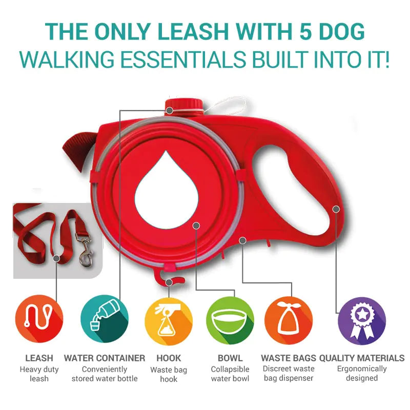 Versatile Pet Leash with Accessories Pfoten Plaza