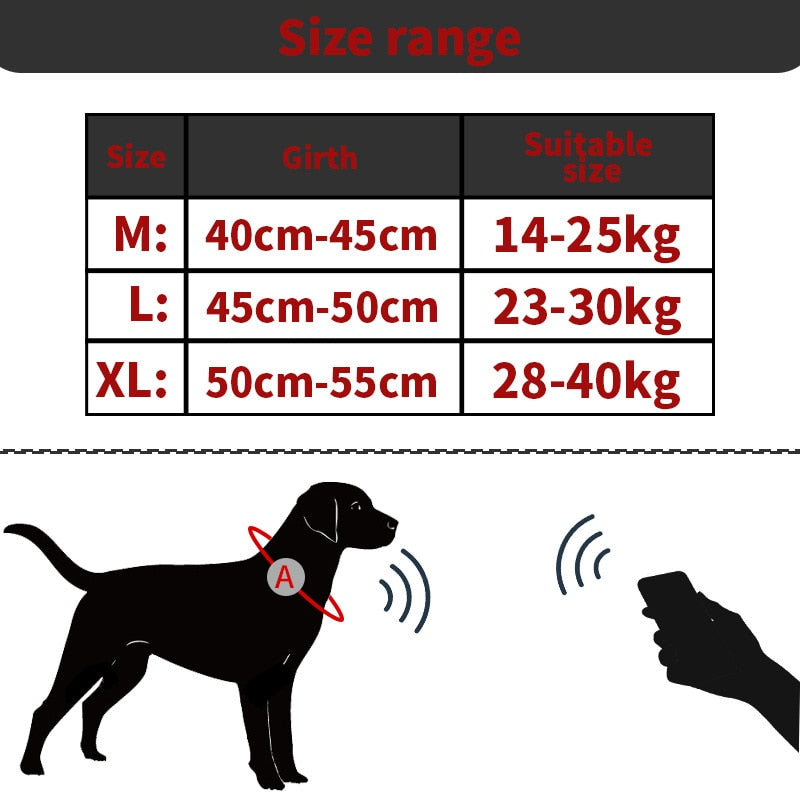 Hundehalsband mit integriertem Tracker Pfoten Plaza