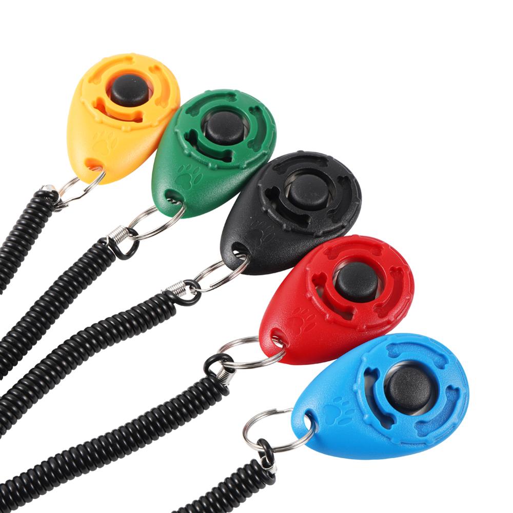 Hundetrainer Clicker Pfoten Plaza