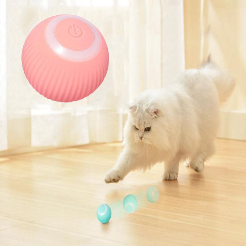 Katzenspielball marhast