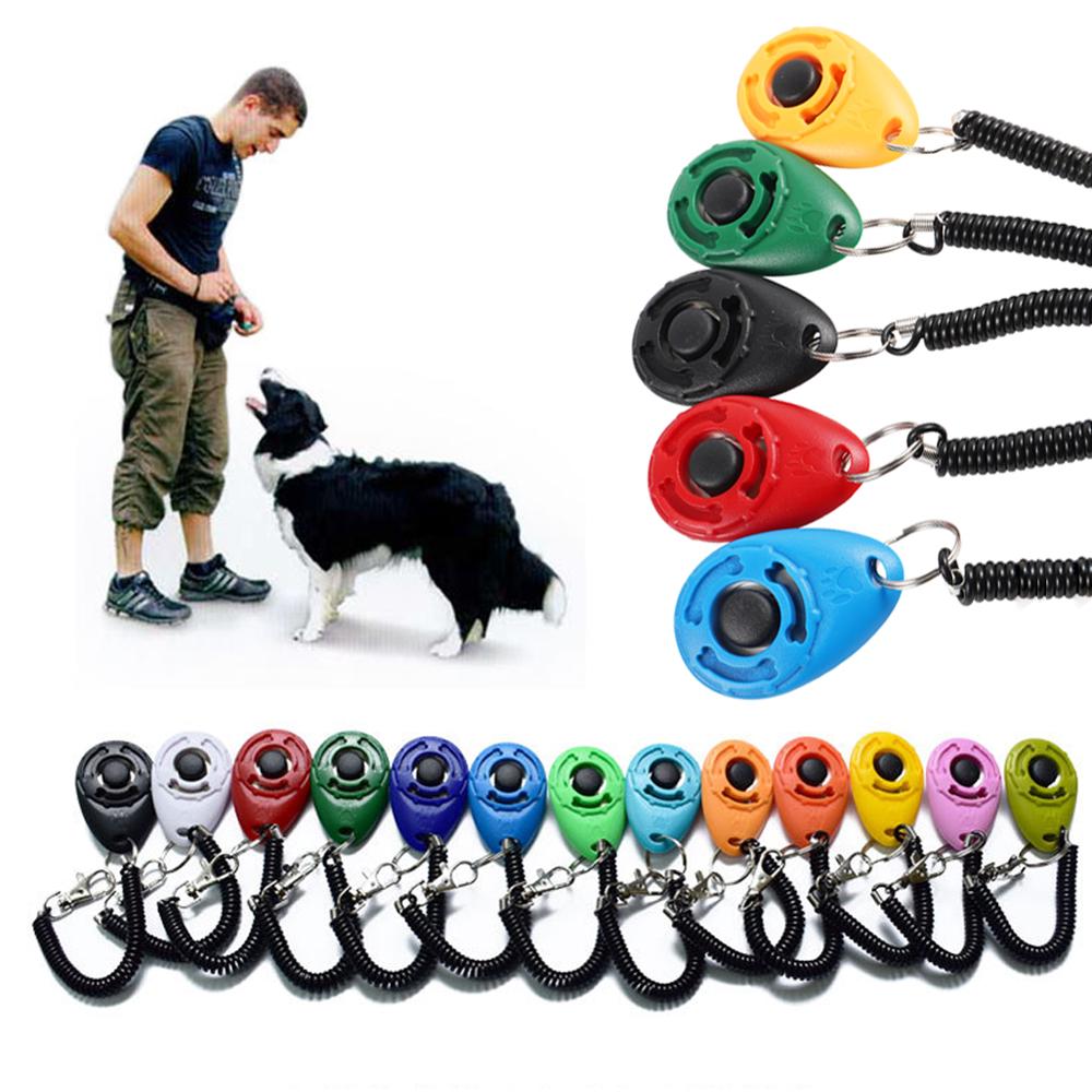 Hundetrainer Clicker Pfoten Plaza