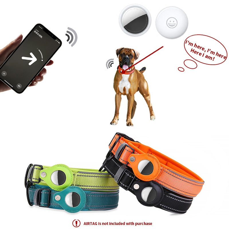 Hundehalsband mit integriertem Tracker Pfoten Plaza